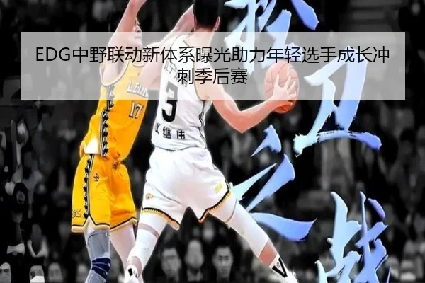 EDG中野联动新体系曝光助力年轻选手成长冲刺季后赛